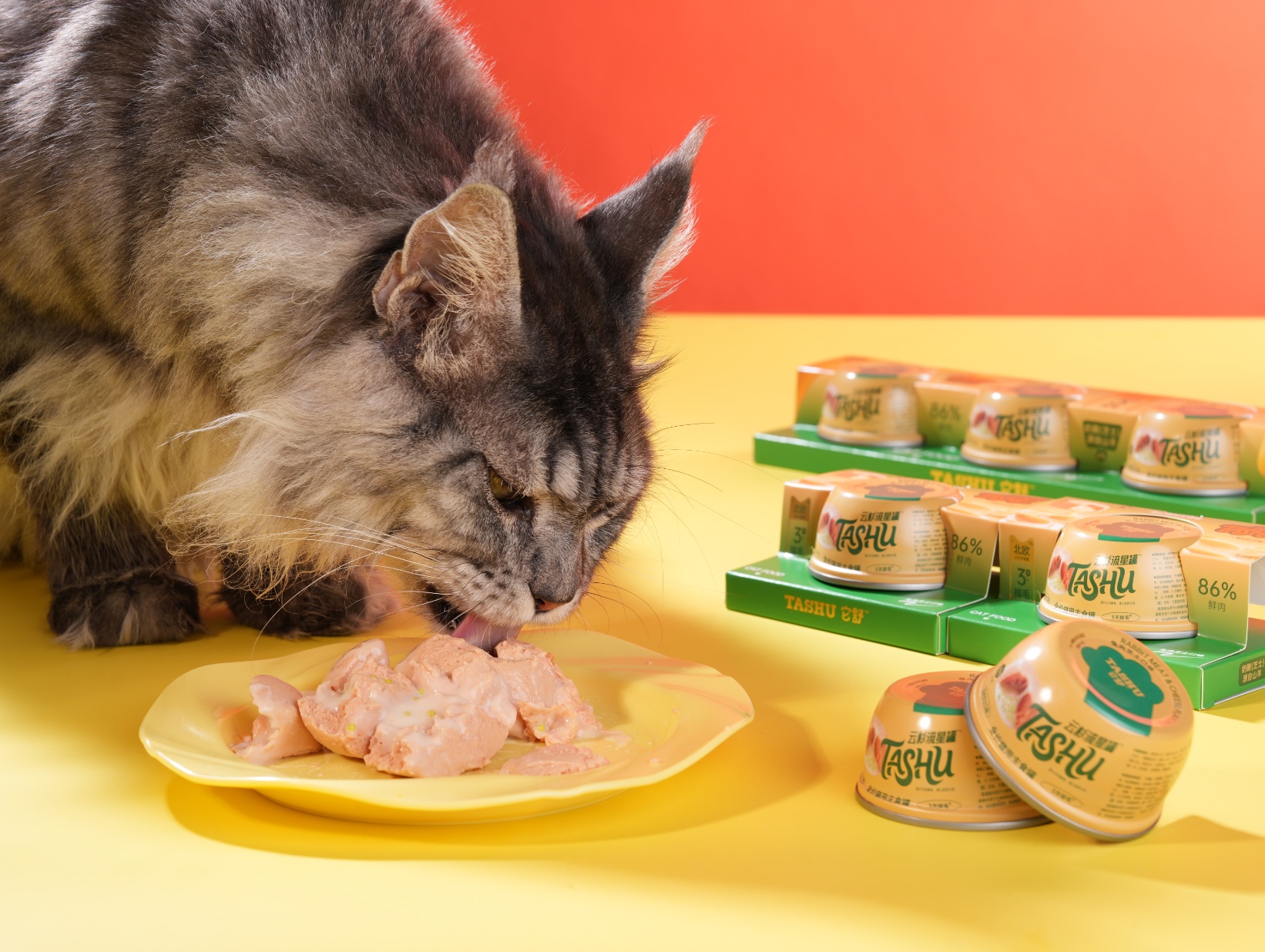 云杉流星排毛罐