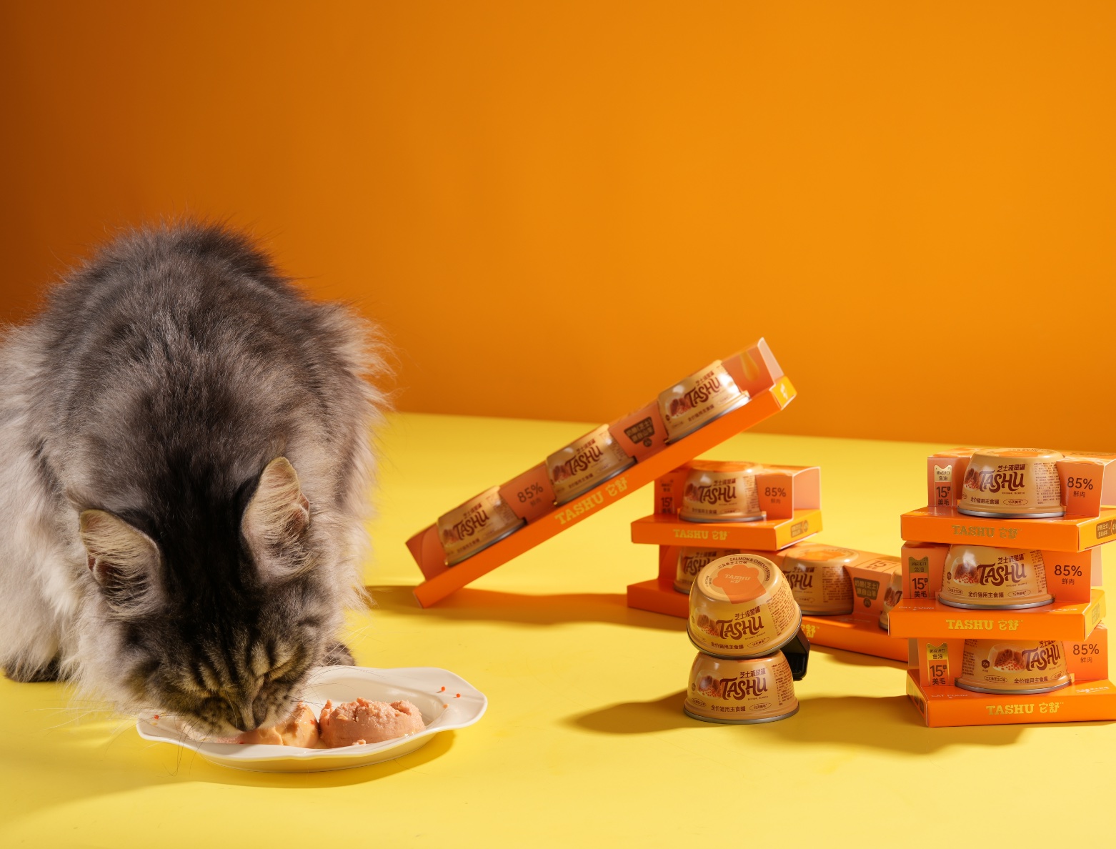 芝士流星美毛罐